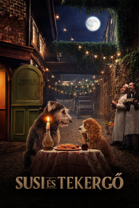 film cover